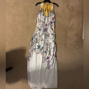 Ted Baker Dress